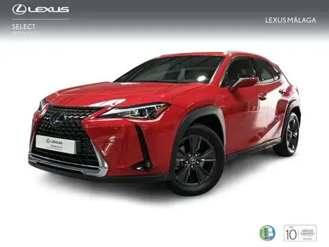 Annonce LEXUS UX Hybride 2021 d'occasion 