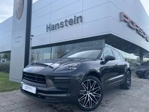 Annonce PORSCHE MACAN Essence 2024 d'occasion 