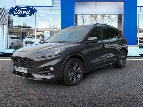 Used FORD KUGA Hybrid 2021 Ad 