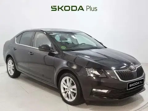 Used SKODA OCTAVIA Diesel 2019 Ad 