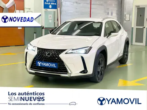 Annonce LEXUS UX Électrique 2021 d'occasion 