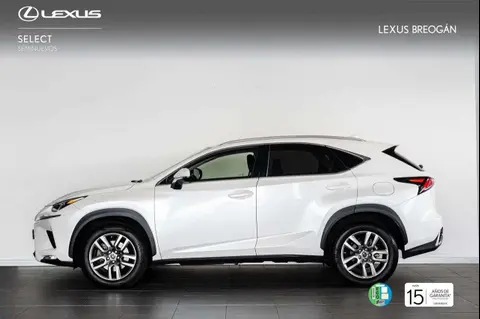 Used LEXUS NX Hybrid 2021 Ad 