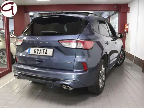 Used FORD KUGA Hybrid 2023 Ad 