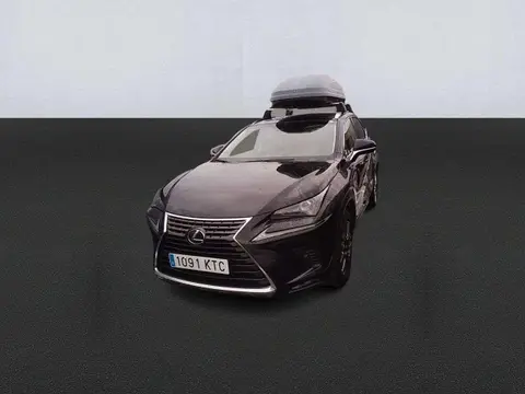 Annonce LEXUS NX Hybride 2019 d'occasion 