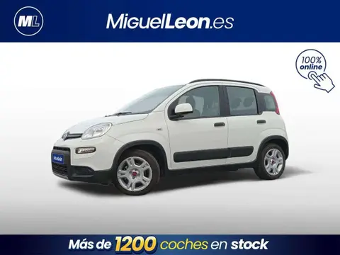 Used FIAT PANDA Hybrid 2023 Ad 