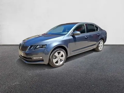 Used SKODA OCTAVIA Diesel 2019 Ad 