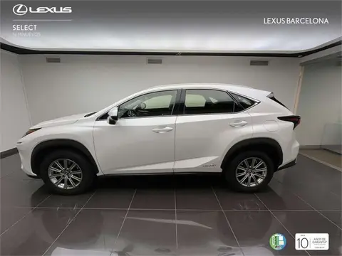 Used LEXUS NX Petrol 2020 Ad 