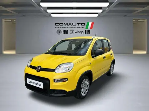 Used FIAT PANDA Petrol 2024 Ad 