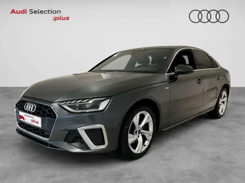 Annonce AUDI A4 Diesel 2023 d'occasion 