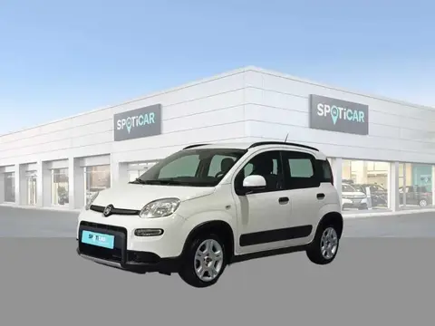 Used FIAT PANDA Petrol 2022 Ad 