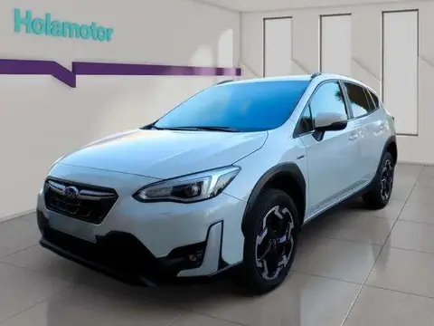 Used SUBARU XV Hybrid 2023 Ad 