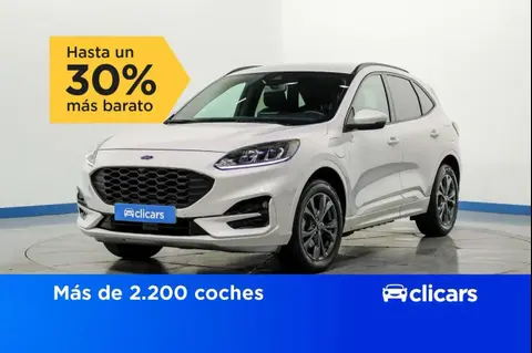 Used FORD KUGA Hybrid 2022 Ad 