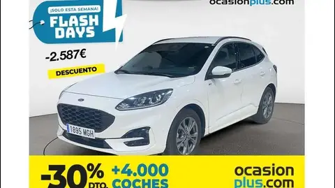 Used FORD KUGA Hybrid 2023 Ad 