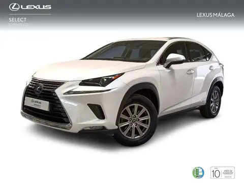 Used LEXUS NX Hybrid 2019 Ad 