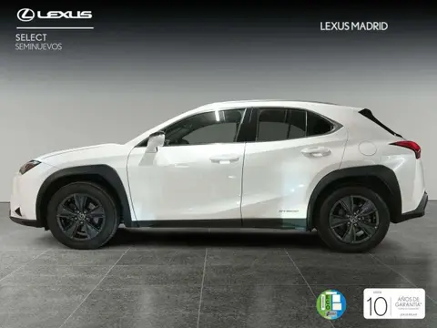 Annonce LEXUS UX Hybride 2020 d'occasion 