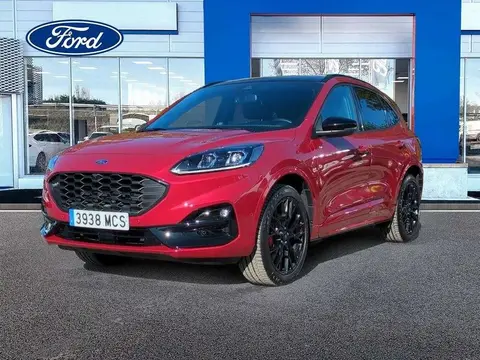 Annonce FORD KUGA Hybride 2022 d'occasion 