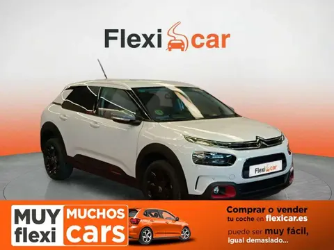 Used CITROEN C4 Petrol 2019 Ad 