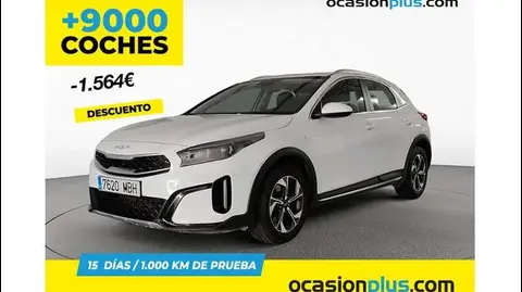 Used KIA XCEED Petrol 2022 Ad 