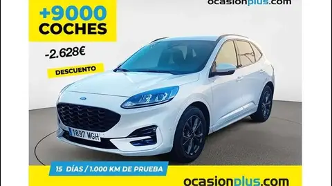 Used FORD KUGA Hybrid 2023 Ad 