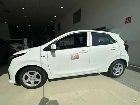 Used KIA PICANTO Petrol 2024 Ad 