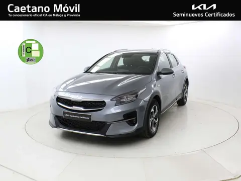 Used KIA XCEED Petrol 2021 Ad 