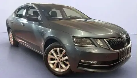 Annonce SKODA OCTAVIA Diesel 2019 d'occasion 