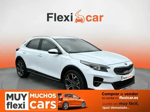 Used KIA XCEED Diesel 2019 Ad 