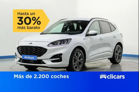 Used FORD KUGA Hybrid 2021 Ad 