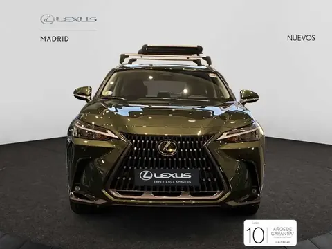 Used LEXUS NX Hybrid 2024 Ad 