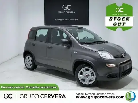 Used FIAT PANDA Petrol 2024 Ad 