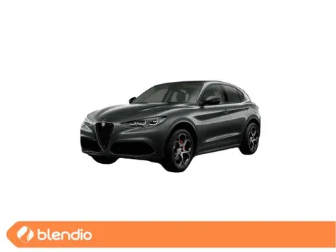 Used ALFA ROMEO STELVIO Diesel 2024 Ad 