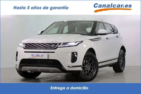 Used LAND ROVER RANGE ROVER EVOQUE Diesel 2019 Ad 