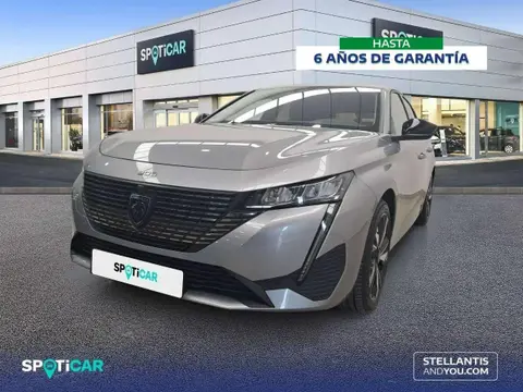 Annonce PEUGEOT 308 Essence 2023 d'occasion 