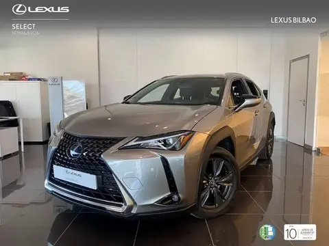 Used LEXUS UX  2020 Ad 