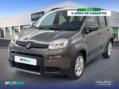 Used FIAT PANDA Petrol 2022 Ad 