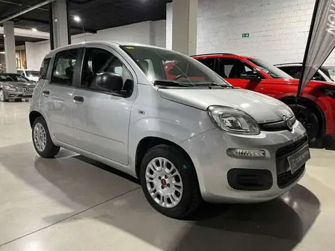 Used FIAT PANDA Petrol 2018 Ad 