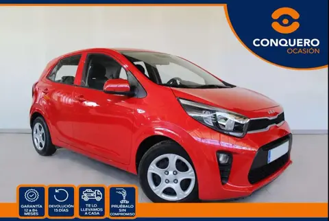 Annonce KIA PICANTO Essence 2023 d'occasion 