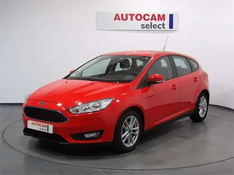 Annonce FORD FOCUS Diesel 2016 d'occasion 