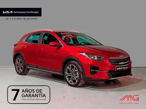 Annonce KIA XCEED Essence 2023 d'occasion 