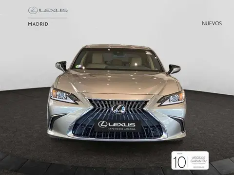 Used LEXUS ES Hybrid 2024 Ad 