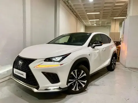 Annonce LEXUS NX Hybride 2019 d'occasion 