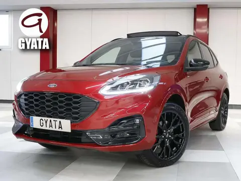 Used FORD KUGA  2024 Ad 