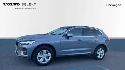 Annonce VOLVO XC60 Diesel 2024 d'occasion 