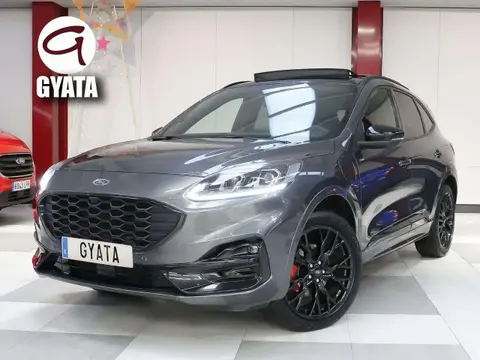 Used FORD KUGA  2023 Ad 