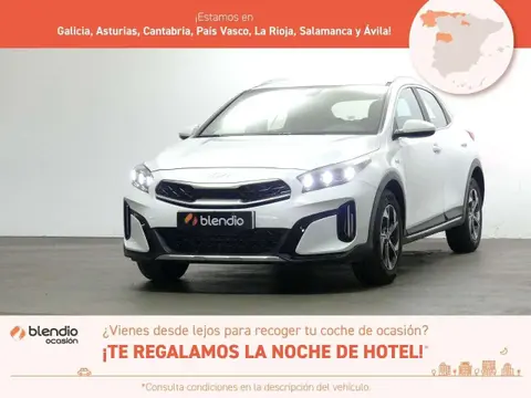 Annonce KIA XCEED Hybride 2024 d'occasion 