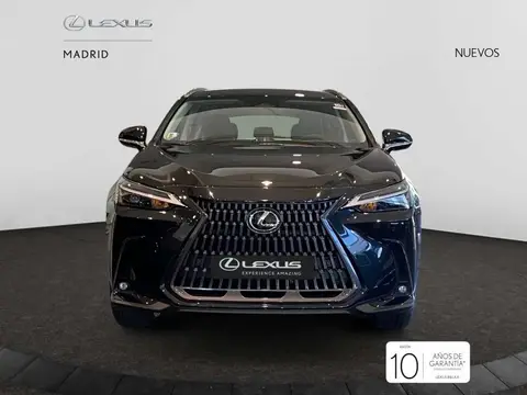 Used LEXUS NX Hybrid 2024 Ad 