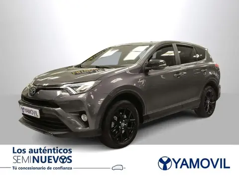 Used TOYOTA RAV4 Hybrid 2017 Ad 