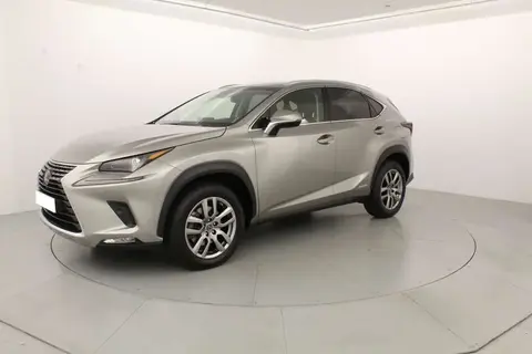 Used LEXUS NX Hybrid 2018 Ad 