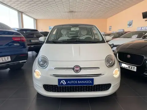 Used FIAT 500 Petrol 2021 Ad 