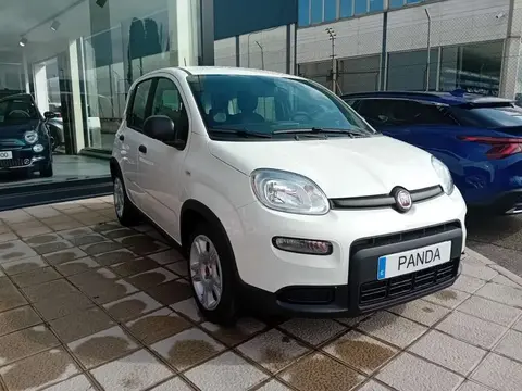 Annonce FIAT PANDA Essence 2024 d'occasion 